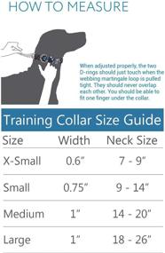 img 1 attached to Enhance Control and Comfort with RC Pets Martingale Training Dog Collar