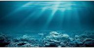vibrant awert undersea theme aquarium background: bring sunny underwater world to your fish tank with durable polyester background logo