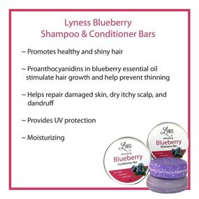 img 3 attached to Lyness Organic Blueberry Shampoo & Conditioner Bar Set: Natural, Eco-Friendly, and Plastic-Free