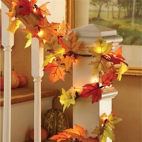 img 3 attached to 🍂✨ Enhance Your Fall Décor with the Vibrant Lighted Harvest Garland featuring Leaves and Amber Lights from Collections Etc.