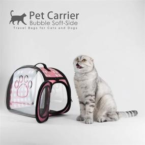 img 4 attached to AVAFORT Soft-Side Cat Dog Carrier: Collapsible Clear Tote for Small Animals, Airline Approved Transparent Pet Carrier Bag - Breathable, Portable Traveling Camping Hiking Outdoor Bag