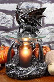 img 4 attached to 🖤 Gothic Ossuary Sabretooth Skull Electric Oil Burner - Home Fragrance Aroma Accessory Decor Statue for Fantasy Dungeons and Dragons Enthusiasts - 8.5" Tall Macabre Figurine