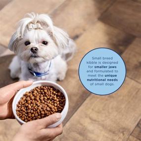 img 2 attached to 🐶 Natural Balance Limited Ingredient Diet: Small-Breed Adult Dry Dog Food with Healthy Grains and Chicken/Lamb Protein Options