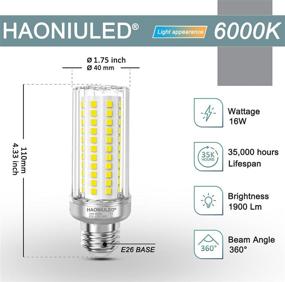 img 3 attached to 🕯️ Candelabra Equivalent Decorative Non Dimmable Chandelier Industrial Electrical: Lighting Component Search