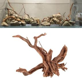 img 1 attached to 🌳 Natural Trunk Wood Driftwood for Aquarium Decor - Hamiledyi Reptile Driftwood Fish Tank Plant Stump Ornament (4 Pcs)