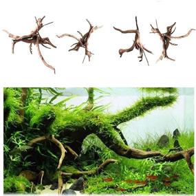 img 3 attached to 🌳 Natural Trunk Wood Driftwood for Aquarium Decor - Hamiledyi Reptile Driftwood Fish Tank Plant Stump Ornament (4 Pcs)