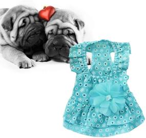 img 3 attached to POPETPOP Dog Summer Dress - Small Dog Girl Dress: Lace Flower Gauze Skirt for Pet Puppy - Size S (Blue)