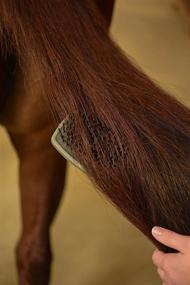 img 1 attached to 🐴 Верхняя чистка Wahl Equine: Профессиональный уход за гривой и хвостом лошади на высшем уровне