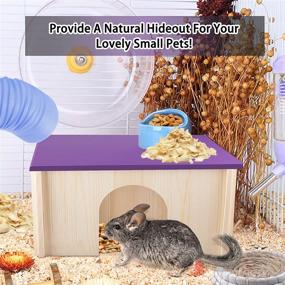 img 2 attached to 🐹 HOC Guinea Pig House with Window - Hideout Hut for Small Animals, Ideal for Guinea Pigs, Hamsters, Chinchillas and More, Natural Wooden Hideout Habitat