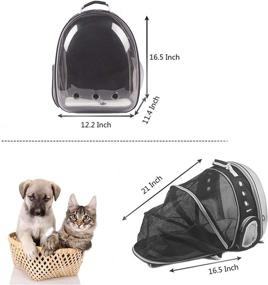 img 2 attached to 🐱 BEIKOTT Cat Backpack Carriers: Ventilated Bubble Pet Carrier for Cats, Puppies, Teddy, Bunny – Perfect for Travel, Hiking, and Outdoor Adventures