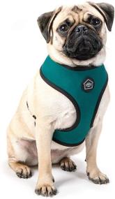 img 1 attached to 🐾 Stylish, Reversible Harness for Pets - The Perfect Blend of Fashion and Functionality!