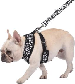 img 3 attached to 🐾 Stylish, Reversible Harness for Pets - The Perfect Blend of Fashion and Functionality!