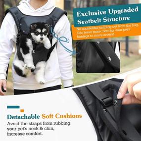 img 2 attached to 🐾 VavoPaw Pet Carrier Backpack: Safe & Easy-Fit Travel Bag for Dogs & Cats - Legs Out Design, Ideal for Traveling, Hiking & Camping - Puppies, Small and Medium Pets