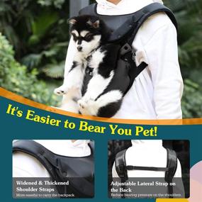 img 1 attached to 🐾 VavoPaw Pet Carrier Backpack: Safe & Easy-Fit Travel Bag for Dogs & Cats - Legs Out Design, Ideal for Traveling, Hiking & Camping - Puppies, Small and Medium Pets