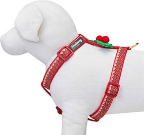 img 1 attached to 🎄 2 Pattern Christmas Dog Harnesses by Blueberry Pet