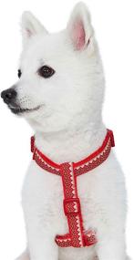 img 2 attached to 🎄 2 Pattern Christmas Dog Harnesses by Blueberry Pet