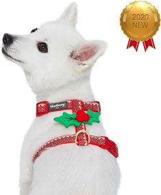 img 3 attached to 🎄 2 Pattern Christmas Dog Harnesses by Blueberry Pet