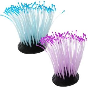 img 4 attached to 🐠 Enhance Your Aquarium with Kathson 2 PCS Artificial Soft Sea Anemone Coral Plant: Vibrant Blue and Purple Silicone Aquarium Ornament