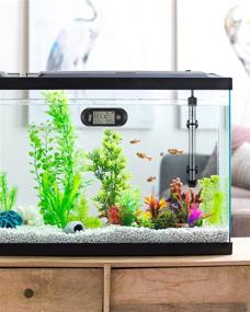 img 3 attached to 🌡️ hygger Stick-on Digital Aquarium Thermometer: Alarm, for Saltwater/Freshwater Fish Tanks & Reptile Habitats
