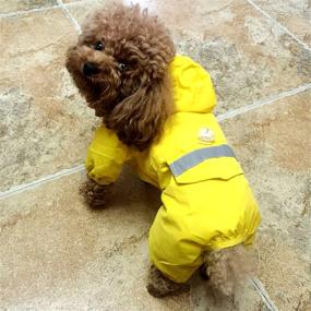 img 3 attached to 🐾 Stay Dry in Style: Alfie Pet - Willis Rainy Days Waterproof Raincoat for Dogs and Cats