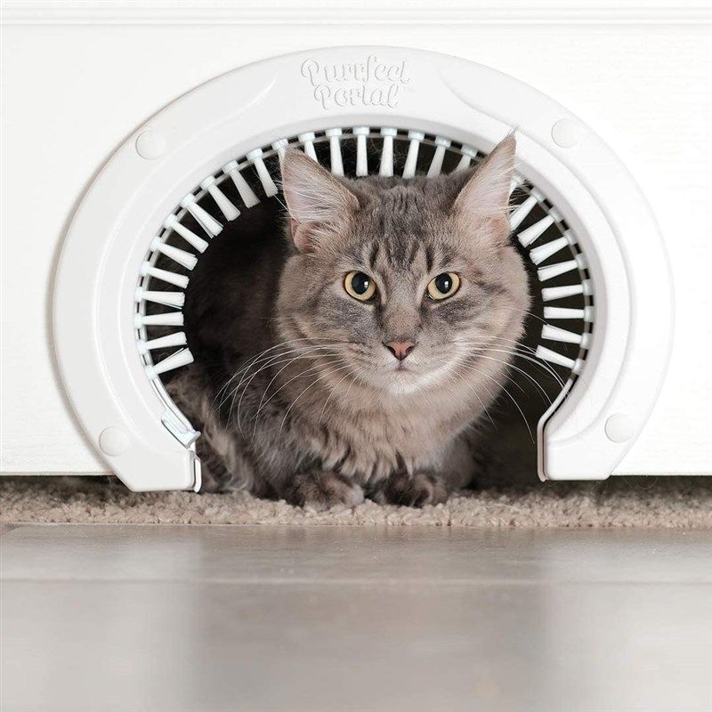 purrfect portal interior doors grooming 로고