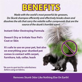 img 3 attached to 🦨 De-Skunk Odor Destroying Shampoo - Powerful De-Greasers to Remove Skunk Odor - Guaranteed Results - The Ultimate Skunk Shampoo - 32 oz.