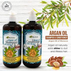 img 1 attached to Vita A to Zee Moroccan Argan Oil Biotin Shampoo & Conditioner Set: Natural Hair Repair & Moisturization Treatment for Dry, Damaged Hair, DHT Blocker & Anti Hair Loss