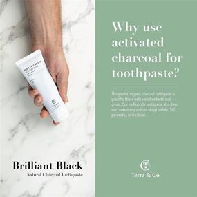 img 2 attached to 🖤 Terra &amp; Co., Brilliant Black Toothpaste (4 Ounces, 1 Count) - Natural Ingredients with Activated Charcoal - Organic Teeth Whitening Products - Vegan &amp; Cruelty Free - Luxury Dental Care