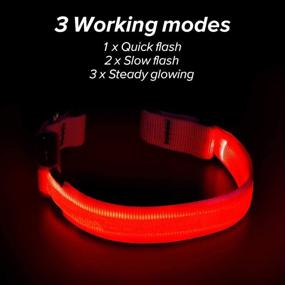 img 2 attached to 🐶 BSEEN LED Dog Collar: USB Rechargeable Safety Pet Collar for Small, Medium & Large Dogs