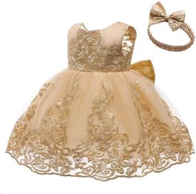 img 3 attached to 👗 CMMCHAAH Baby Girls Pageant Lace Embroidery Dress: Elegant Formal Wear for ages 0-6 Years with Matching Headwear