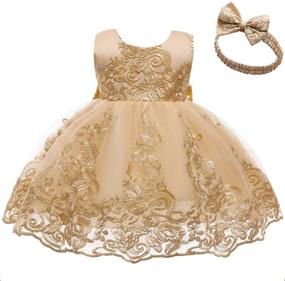 img 2 attached to 👗 CMMCHAAH Baby Girls Pageant Lace Embroidery Dress: Elegant Formal Wear for ages 0-6 Years with Matching Headwear