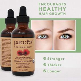 img 1 attached to PURA D’OR Organic Castor Oil (4oz) - 100% Pure Natural USDA Organic: Enhance Eyebrow Thickness, 🌿 Promote Lush Eyelashes, Accelerate Hair Growth: Cold Pressed Hexane-Free Formula - Hydrate Dry Skin with Bonus Brush Kit