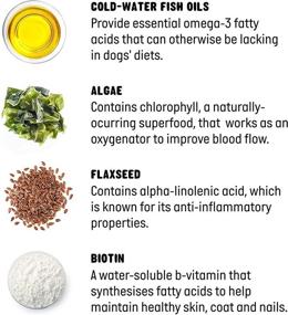 img 2 attached to Active Chews Supplement Vitamin Promotes