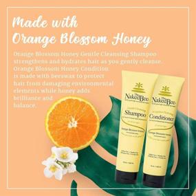 img 3 attached to The Naked Bee Orange Blossom Honey Shampoo and Conditioner Set - 2 Bottles, 10 oz each