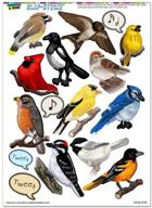 🦅 stunning north american birds – decorate with finch cardinal slap-stickz™ stickers for parties, scrapbooks, crafts, car windows, and lockers! logo