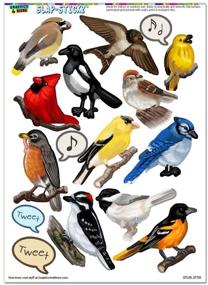 img 1 attached to 🦅 Stunning North American Birds – Decorate with Finch Cardinal Slap-STICKZ™ Stickers for Parties, Scrapbooks, Crafts, Car Windows, and Lockers!