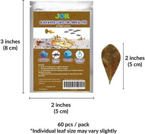 img 1 attached to JOR Indian Almond Leaves for Neon Tetra, 2-Inches, Dried Leaves for Spawning, Create Brackish Environment for Tropical Fish (Guppy and Platy), Pack of 60 Leaves