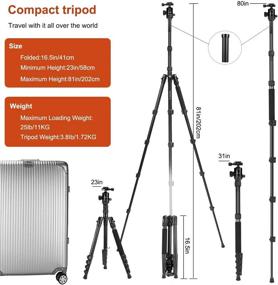 img 3 attached to 📷 81-inch JOILCAN Aluminum Camera Tripod for DSLR with Compact Travel Design, 360° Panorama Ball Head, and 2 Quick Release Plates - Folded Length 16.5 inches, Maximum Load Capacity of 25 lbs - Black
