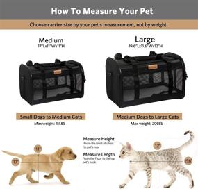img 3 attached to 🐾 Akinerri Pet Carriers - Approved, Collapsible, Soft-Sided Travel Carrier for Dogs and Cats, Cat Carrier for Small-Medium Cats