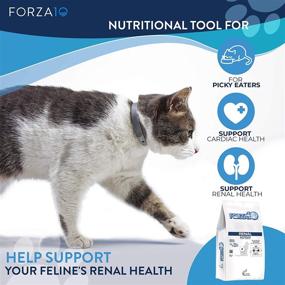 img 1 attached to 🐱 Forza10 Active Renal Diet Dry Cat Food for Adult Cats, Heart and Kidney Support, Wild Caught Anchovy Flavor, 4 Pound Bag