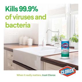 img 2 attached to 🧼 Clorox Disinfecting Wipes, Bleach-Free Cleaning Wipes, Fresh Scent, 75 Count (Possible Packaging Variation)