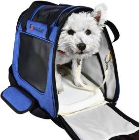 img 4 attached to 🐱 E Ess & Craft Soft Cat Carrier with Sturdy Bottom & Soft Bedding, Front Loading Airline Approved Pet Carrier, Ventilated Travel Carrier with Padded Top Handle, Shoulder Strap and Zipper Locks