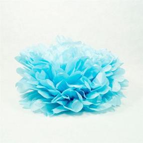 img 1 attached to Light Blue Tissue Paper Pom