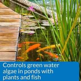 img 2 attached to 🔵 PondCare 269B Microbial Algae Clean - 16 oz. Bottle: Superior API Solution for Algae Control in Ponds