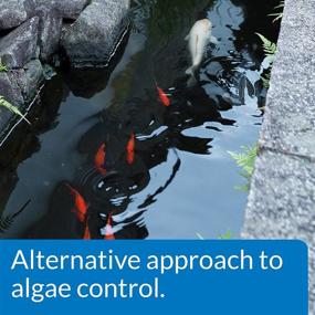 img 1 attached to 🔵 PondCare 269B Microbial Algae Clean - 16 oz. Bottle: Superior API Solution for Algae Control in Ponds