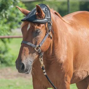 img 1 attached to 🐴 Cashel Horse Helmet Black, Adjustable Size for all