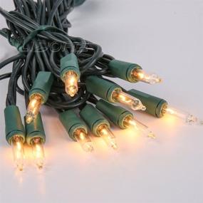 img 3 attached to 10 Mini Christmas Tree Lights on Green Cord: Party String Lights for Patio, Garden, and Wedding