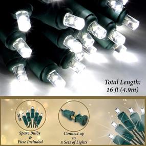 img 3 attached to 🔌 Energy Efficient Cool White LED Mini Christmas Lights – Professional Grade for Indoor & Outdoor Use