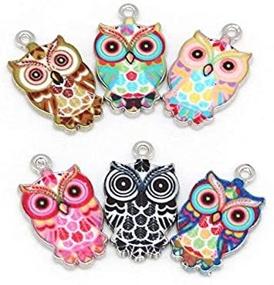 img 1 attached to 🦉 Vibrant Plated Alloy Enamel Owl Pendant Charms for DIY Jewelry Making - Set of 12 Colorful Assorted Styles