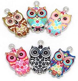img 2 attached to 🦉 Vibrant Plated Alloy Enamel Owl Pendant Charms for DIY Jewelry Making - Set of 12 Colorful Assorted Styles